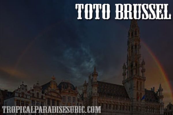TOTO Brussel
