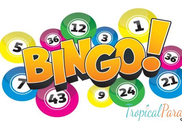 Tips Bingo