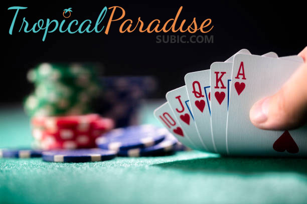 Judi Kartu Poker: Panduan Lengkap untuk Pemula dan Profesional